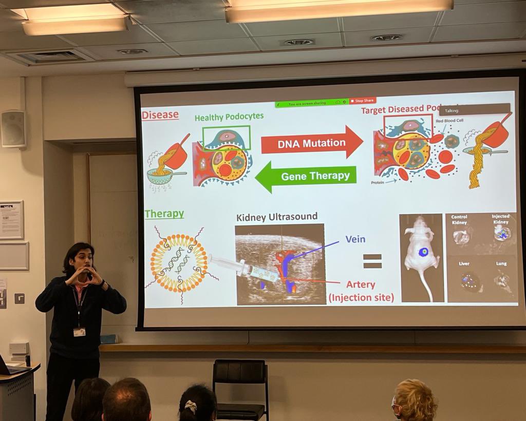 UCL Child Health Kidney Lab tweet media