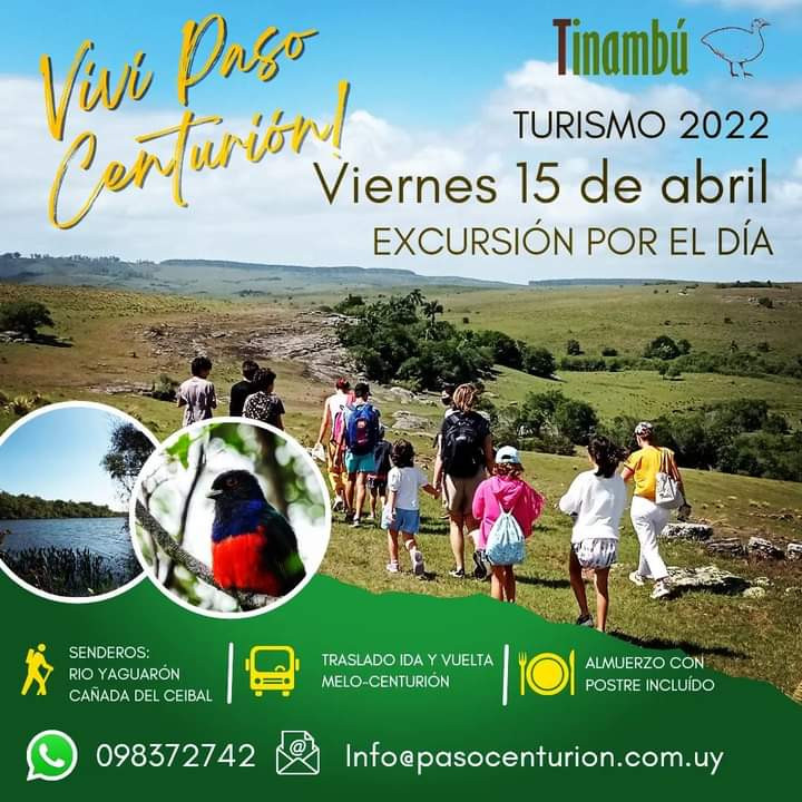 Uruguay_Natural's tweet photo. El viernes 15 de abril @TinambuE organiza una excursión por el día desde Melo, para poder disfrutar y conocer Paso Centurión, una de las Áreas Protegidas de mayor biodiversidad del Uruguay. https://t.co/FJsSVbGePj
