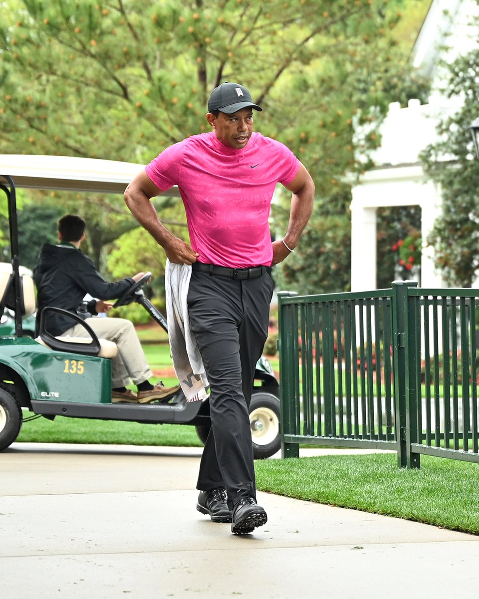 T-minus 30 minutes 🐅