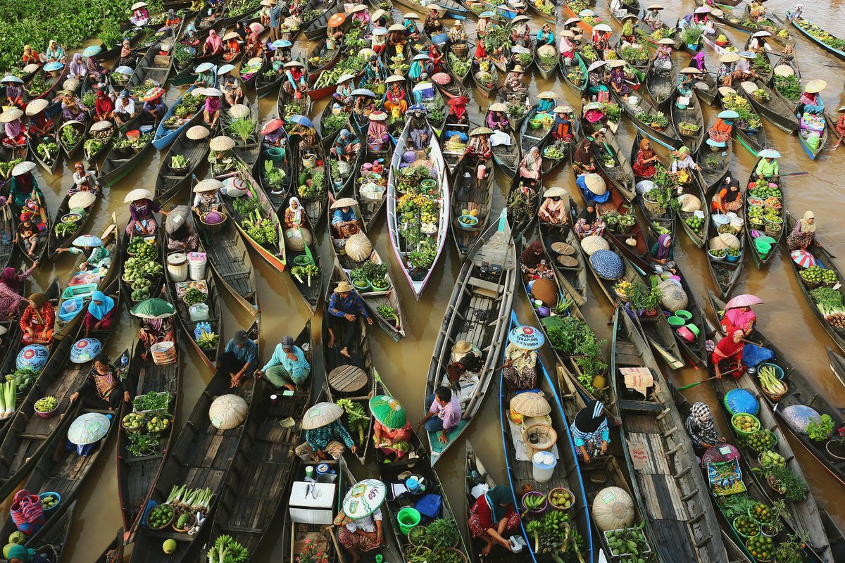 n3ffint's tweet photo. @Whiskers_NFT @Pjlozano11 (1/3) Piranha City, also known as the Forbidden City in Southern Desert, has become a way of life and trade for the pond dwellers for over decades, thanks to the complex and extensive river system of the region. https://t.co/xVxzggZnov