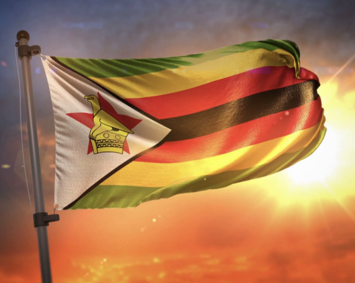 advocatemahere's tweet photo. 🟡Patriotism is not burying your head in the sand as a murderous, corrupt dictatorship destroys your country. Failing to speak out against bad governance is not loving Zim. When you love your country, you play your part to make it better. No party has a monopoly on patriotism.🇿🇼 https://t.co/KNhMgLz13C