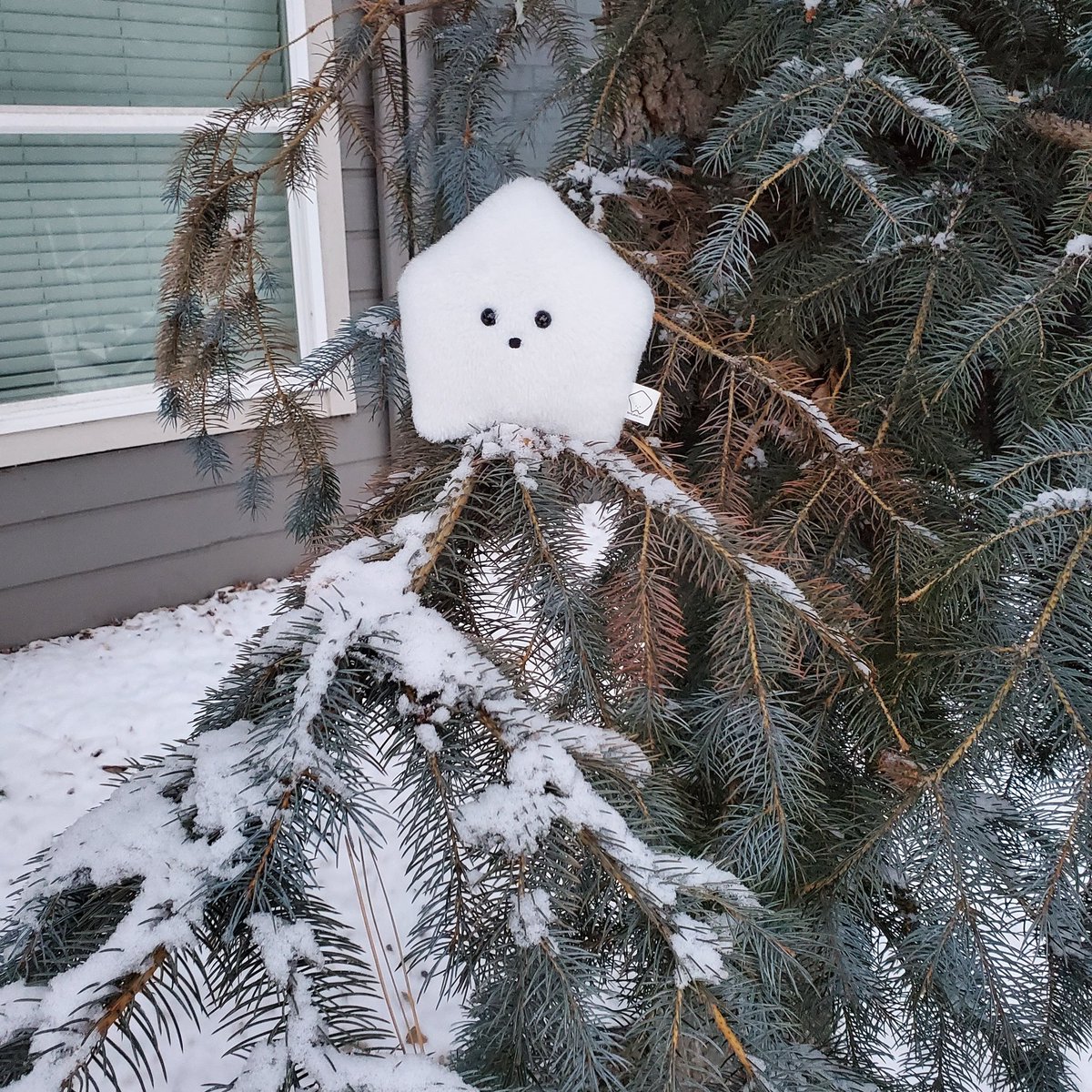 sucklet7's tweet photo. i am simply a dollop of snow.
#sucklet. #snowlet. #treelet. https://t.co/RWLrnxG9ff