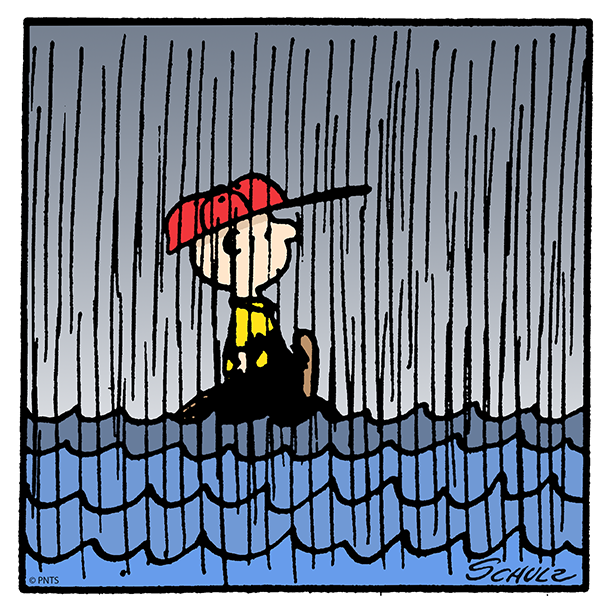 April showers bring May flowers 🌧️