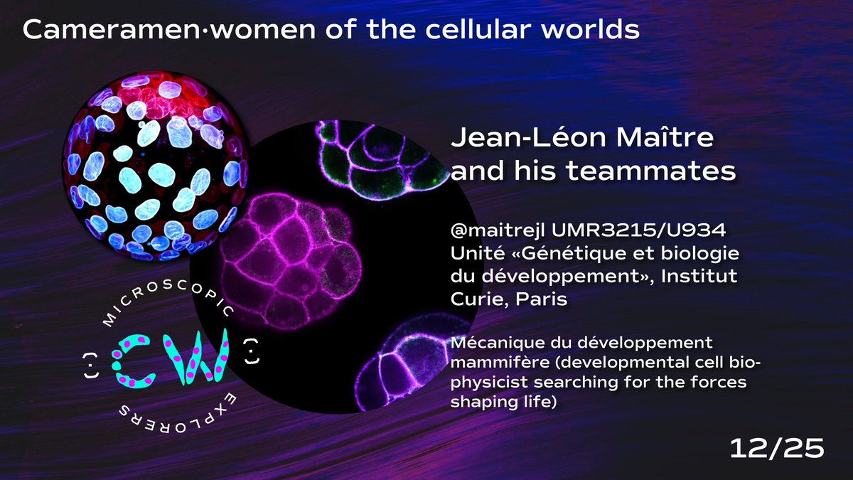 E X A L T I A (fermé) (@exaltiafr) on Twitter photo 🧑🔬Behind every great image, there are great scientists. Let us showcase the cameramen & camerawomen from
@cellworlds_off
➡️ <a href="/maitrejl/">Jean-Léon Maître</a> <a href="/oozguc/">Özge Özgüç</a> <a href="/MSchliffka/">Markus Schliffka</a> <a href="/Edge_HD/">Edgar Herrera Delgado</a> and others from <a href="/institut_curie/">Institut Curie</a> <a href="/CNRS/">CNRS 🌍</a>
🔍Look for them : youtu.be/TR3tXKHE6-A 🧑🔬Behind every great image, there are great scientists. Let us showcase the cameramen & camerawomen from
@cellworlds_off
➡️ <a href="/maitrejl/">Jean-Léon Maître</a> <a href="/oozguc/">Özge Özgüç</a> <a href="/MSchliffka/">Markus Schliffka</a> <a href="/Edge_HD/">Edgar Herrera Delgado</a> and others from <a href="/institut_curie/">Institut Curie</a> <a href="/CNRS/">CNRS 🌍</a>
🔍Look for them : youtu.be/TR3tXKHE6-A