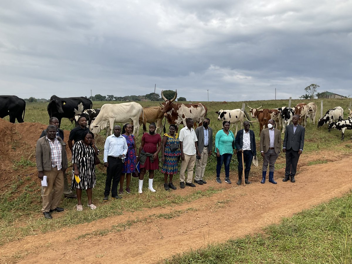 ProfNawangwe's tweet photo. This morning I toured Buyana Farm with members of Management. We have resolved to revamp the farm for better training of our veterinary students. Buyana Farm is a 323 acre farmland owned by Makerere University. https://t.co/6CqIfCjQzw