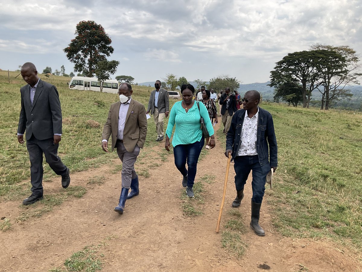 ProfNawangwe's tweet photo. This morning I toured Buyana Farm with members of Management. We have resolved to revamp the farm for better training of our veterinary students. Buyana Farm is a 323 acre farmland owned by Makerere University. https://t.co/6CqIfCjQzw