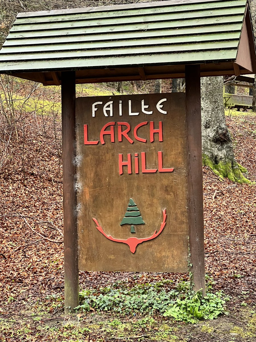 LittleBigAdventures tweet media