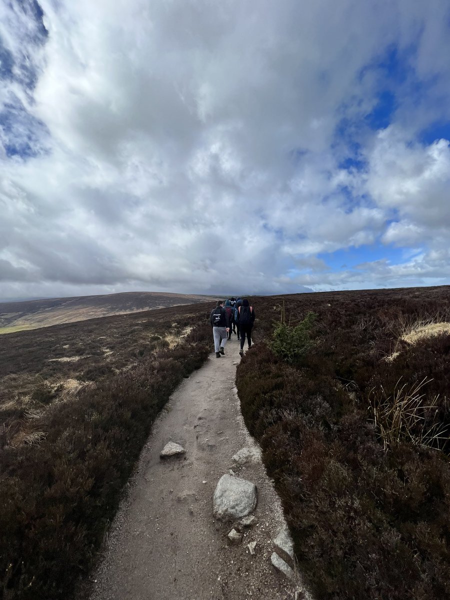 LittleBigAdventures tweet media