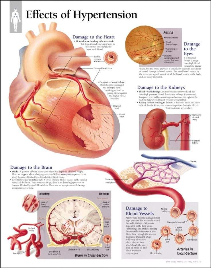 FootballFtbol1's tweet photo. #WorldHeathDay 
#WorldHealthDay2022 
#healthcare 
#healthylifestyle https://t.co/i6GrRO44gi