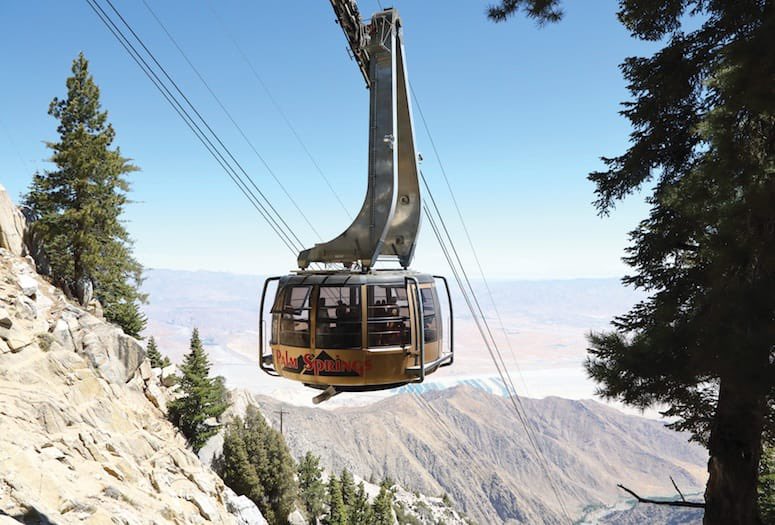 JAFConsulting's tweet photo. Did you know that the Palm Springs Aerial Tramway is the world’s largest rotating tram car? Traveling approximately two and a half miles!
#jaf #jafconsulting #sqa #sqa2022 #palmsprings #jafthemoreyouknow #booth211 https://t.co/oYQIPigDkw