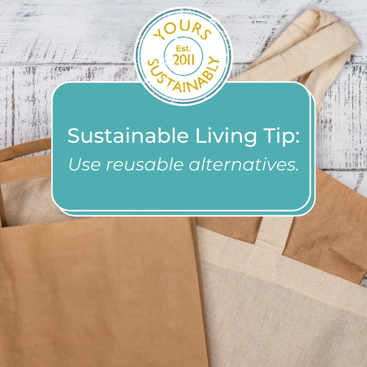 Part of our mission is to create fashionable and sustainable items available for all, so we love this tip! 

Single-use products, particularly plastic ones, tend to end up in landfills and the ocean, causing harm to wildlife and the environment.