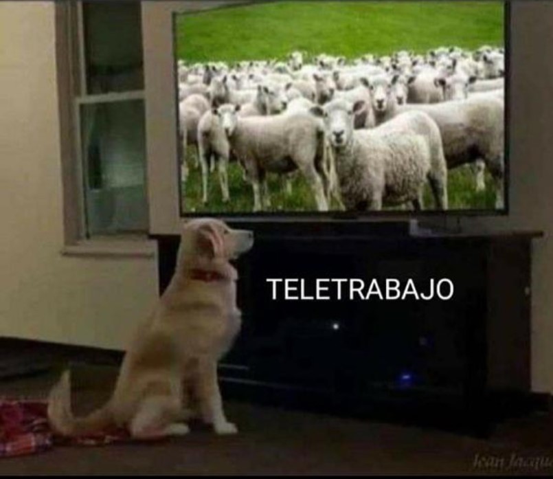 ObispoMunilla's tweet photo. Vigile cada cual si los hábitos generados en la pandemia del Covid nos han podido dejar instalados en la comodidad o atrapados por el miedo… https://t.co/6vj9Q1ZSNQ