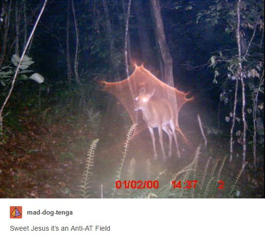 evangelionJPEG's tweet image. holy shit evangelion reference irl #evangelion #evatwt