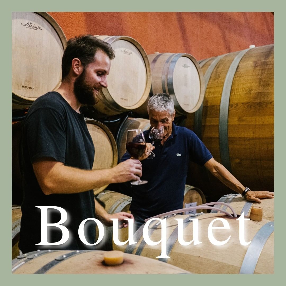 The term #bouquet refers to how the #wine smells – its nose – which generally evolves with age.

#cortese #cortesewines #CorteseWayOfLife #organicwine #sicilianwine #wine #winelover #winetasting #bouquet #aromi #winebouquet