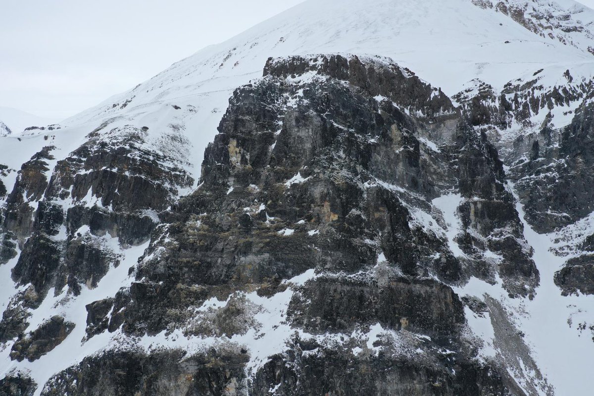 #DOM of the day - Introducing the #Flynibba digital model!

Interact with the #Svalbox model here: svalbox.no/?page_id=4140 

 #DigitalGeology #Arctic #Svalbard