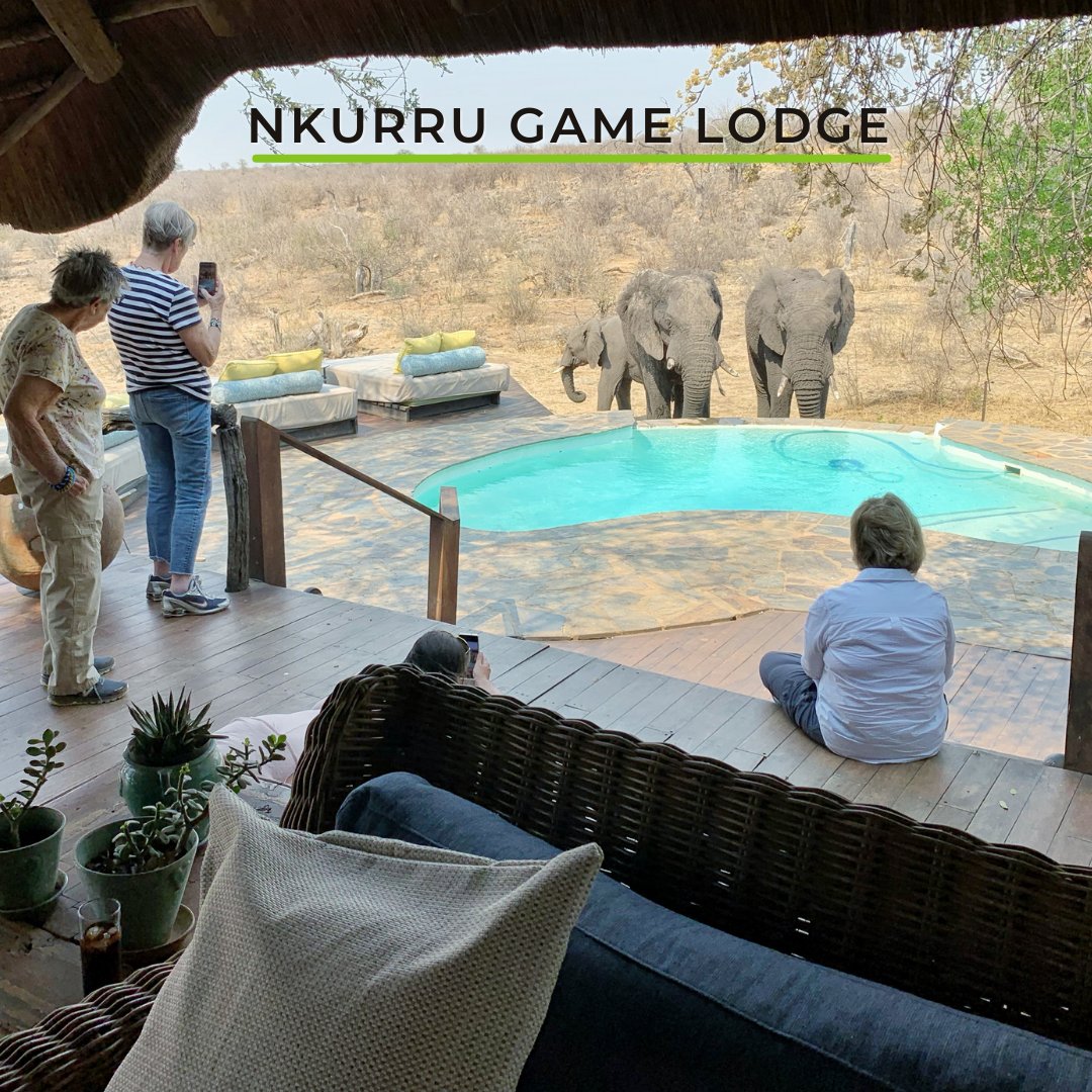 Wild Eye tweet media