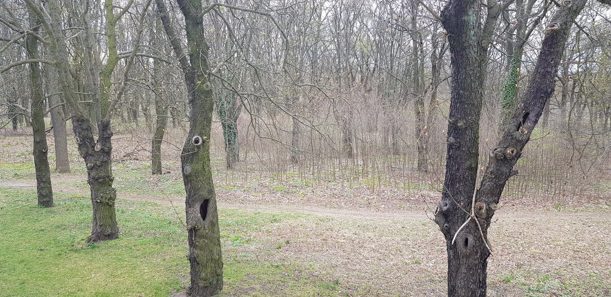 CarenzaLewis's tweet image. Very pleased to have got to Poland for our 8th #CAREMSoC project meeting after so many obstacles to getting on the ground here over the last couple of years. Looking forward to seeing colleagues and Polish #Testpit sites. #archaeology #CommunityArchaeology archaeologyeurope.blogs.lincoln.ac.uk