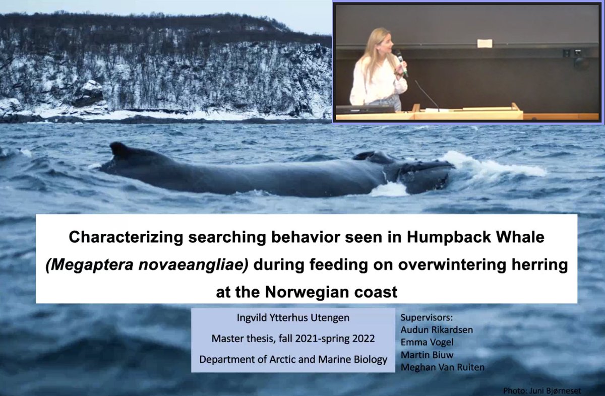 Emma Vogel tweet media