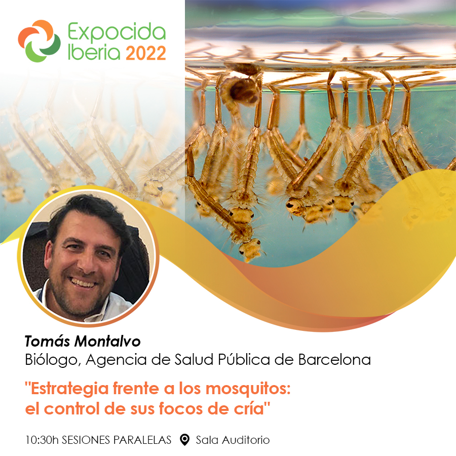 anecpla's tweet photo. Tomás Montalvo, Biólogo, Agencia de Salud Pública de Barcelona nos trae "Estrategia frente a los #mosquitos: el control de sus focos de cría" en el auditorio de #expocidaiberia22 https://t.co/x5RfYvFm2q