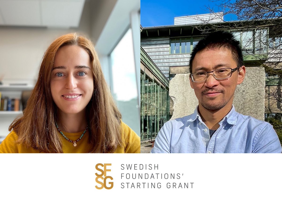 stiftelse's tweet image. #Forskning om kvantgravitationens gåta och hur silikater neutraliserar koldioxid i fokus när två av landets topprankade forskartalanger, som gick miste om EU-stöd pga budgetbegränsningar, nu fångas upp med miljonanslag via startinggrant.se