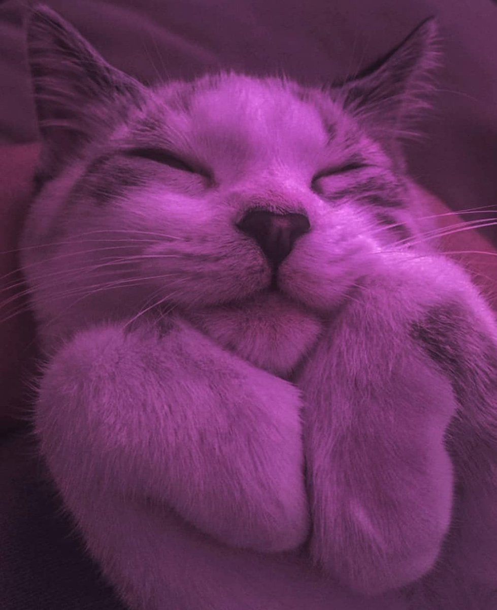 Chill & Arts (@chillingarts) on Twitter photo 