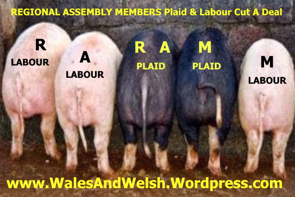Greg_LW's tweet photo. #Devolution #Drakeford compulsory #Dual_Language - hardly surprising #Welsh_Education is a #Dai_Saster! https://t.co/1PbfjeJoPh
