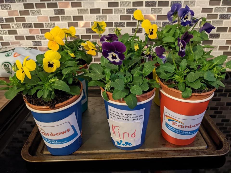 1stCressing's tweet photo. This week the Rainbows 🌈 planted ‘pots of kindness’! #GirlGuiding https://t.co/NnX7DJfgVV