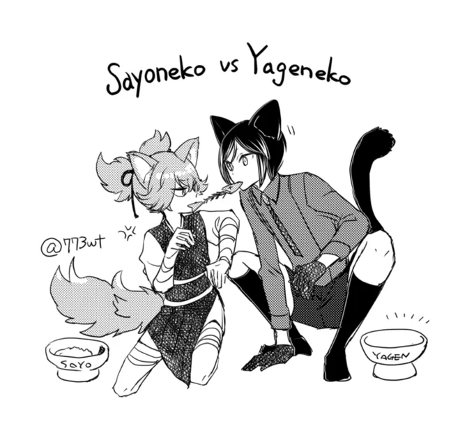 フシャー🐈‍⬛🐟🐈‍⬛ 