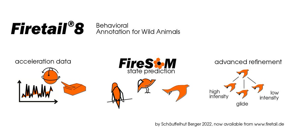 FiretailVis's tweet photo. #FireSOM #MachineLearning assisted behavioural annotation for acceleration data in #Firetail8 https://t.co/CDjjiwU7Bh https://t.co/QhikAx9ach
