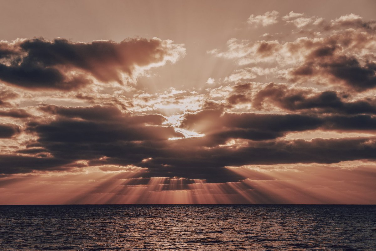 Gm ☀️
#NFTphotographers #NFTCommunity #nftcollector