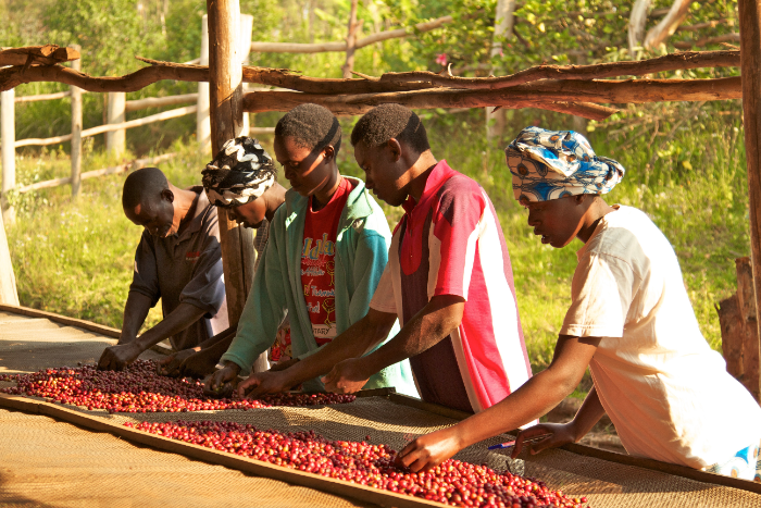 The ICO Composite Indicator Coffee Price for March showed a fall of 7.6%, breaking a streak of 17 consecutive months of increases. okt.to/q2DYTg #coffeeprices #greencoffeereport #financialresults #coffeeindustry