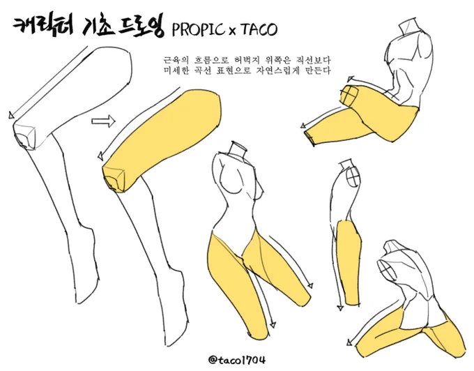 허벅지 위쪽은 직선보다 미세한 곡선 표현으로 그려주면 자연스럽다 
