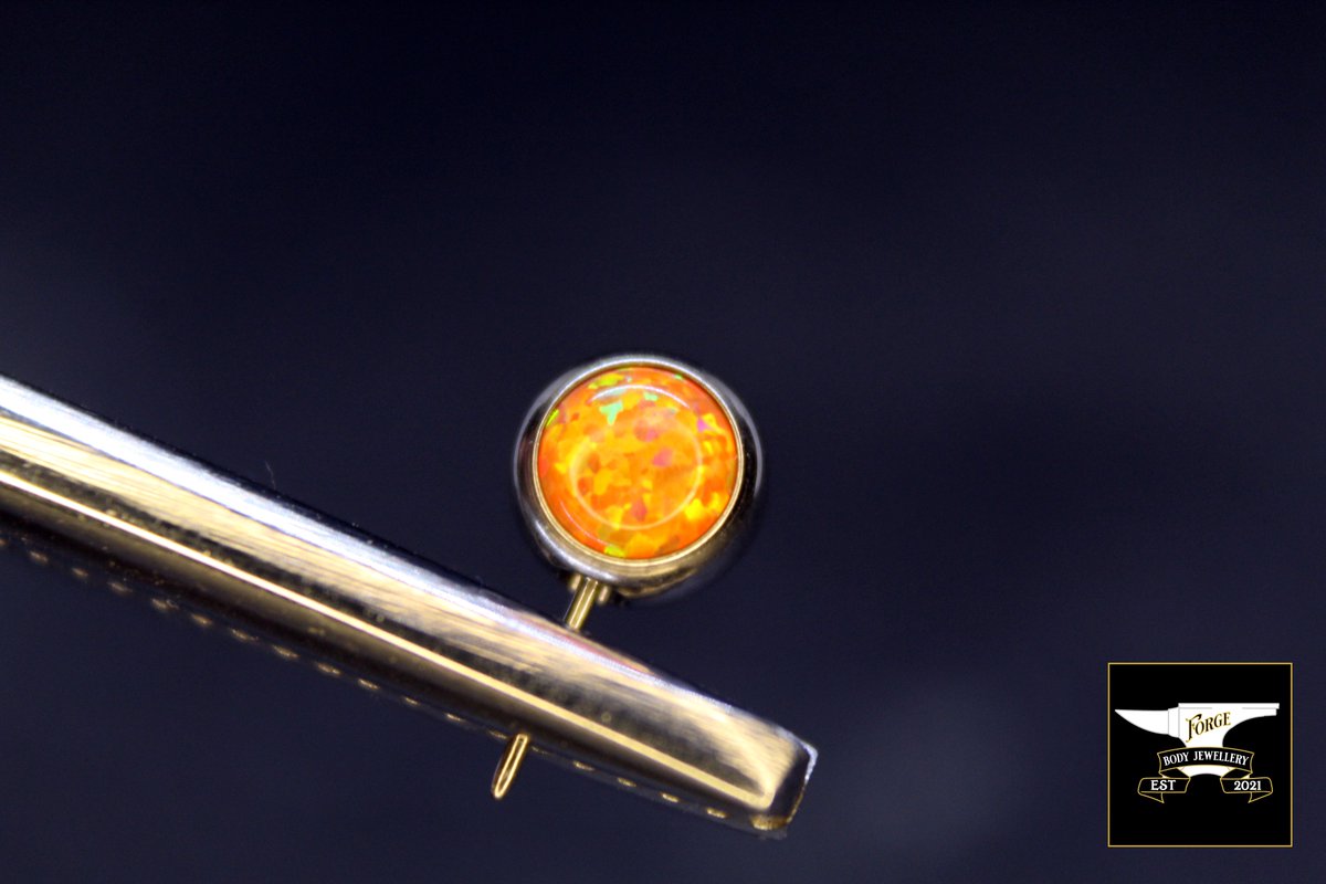 Forge_Jewellery's tweet photo. These mesmerising #NeoMetal pieces speak for themselves. Stock photos never do the pieces true justice 😍
Titanium 14G Circular barbell with 4mm Orange Cabochon Opal Attachments
Shop Now: https://t.co/Uf8KrGQNxN
Shop Now: https://t.co/YxENbzAYyo https://t.co/qiBco7jQr3