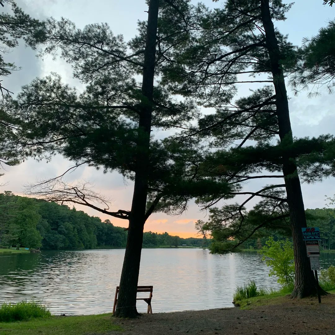 May God give you laser-like focus to tend to your God-given assignment and the courage to say no to what He’s not asked of you. May He grant you empowering grace to flourish where He has placed you. May your pure heart and firm faith keep you steady on the path ahead of you.