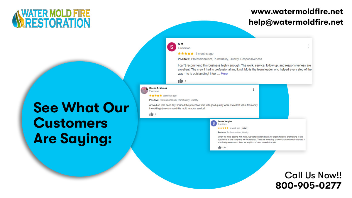 Call:- 800-905-0277
Mail:- help@watermoldfire.net
Visit:- pos.li/2ia7vo
#carpetcleaning #cleaning  #crimescenecleaning #smoke #biohazardcleaning  #asbestos #asbestosremoval #asbestosawareness #postdisasterestoration  #watermoldfire