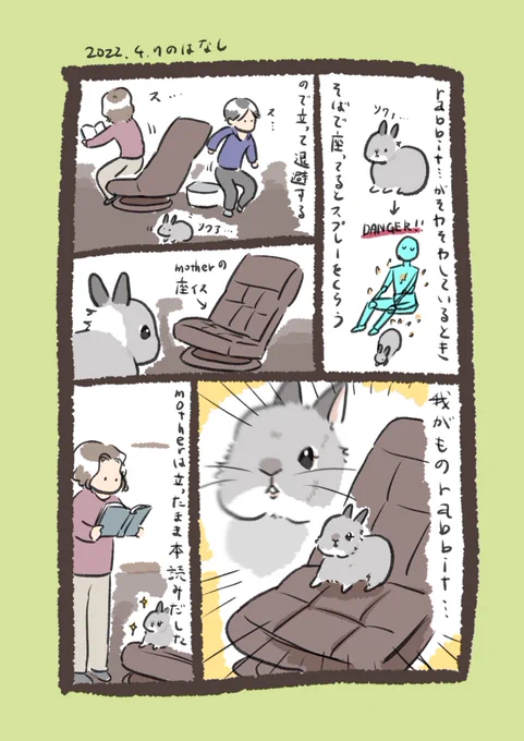 今日のrabbit…
#うさぎのいる生活 