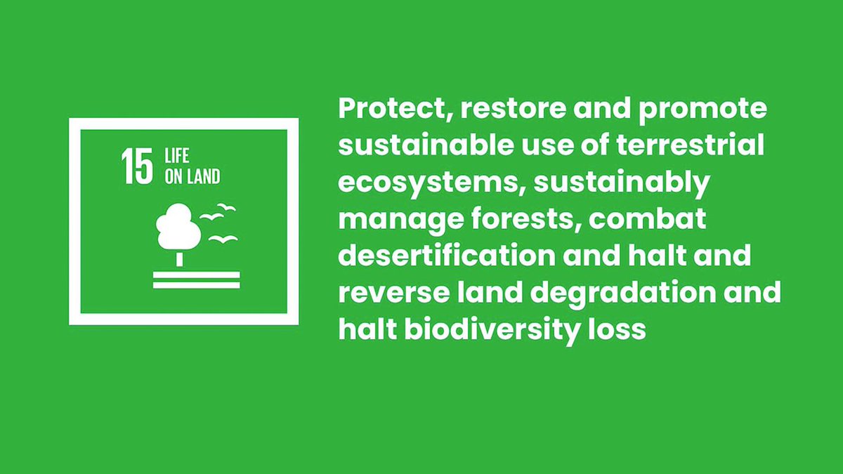 HamishSpinaze's tweet photo. The world has lost 100 million hectares of Forrest in two decades. #educ4750 #SDG15 https://t.co/eGwso0wuTN