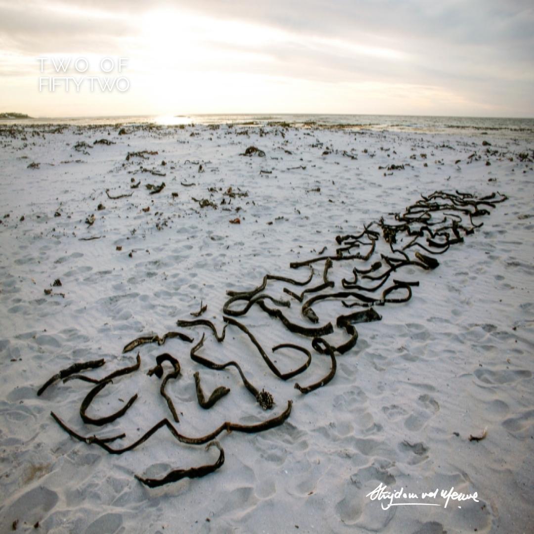 the52collection's tweet photo. Number TWO of The 52 Collection is up for sale on @the52collection marketplace. This piece was created by Strijdom van der Merwe with dried kelp that washed out on Kommetjie beach in the Western Cape.

To be the proud owner of this piece, visit the link: https://t.co/qSDQfacA6n https://t.co/JOBEWk40tr