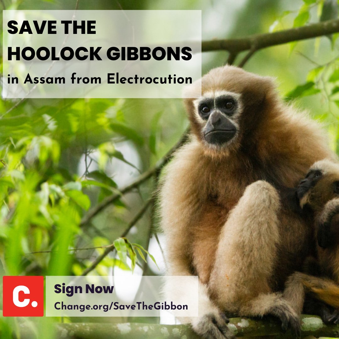 Change.org India tweet media