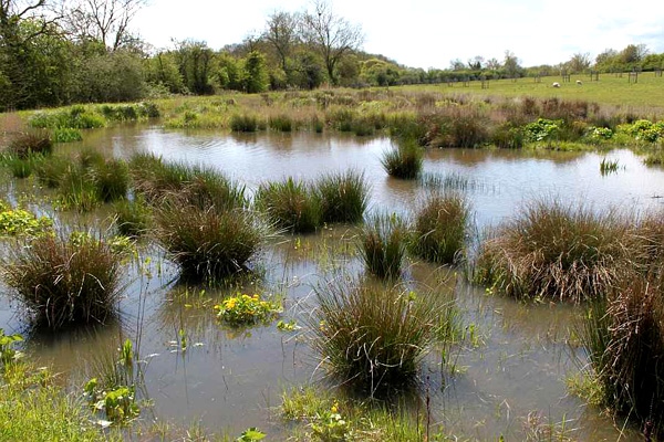 JPRenviro's tweet photo. What have we been up to?
JPR have been very busy over the last few months, with many projects started and completed! Check out our insights page to learn more about our favourite projects.. https://t.co/kv4C1JfIow
#jprprojects #wetlandprojects #ecologicalprojects https://t.co/Wj3hGcEw5H