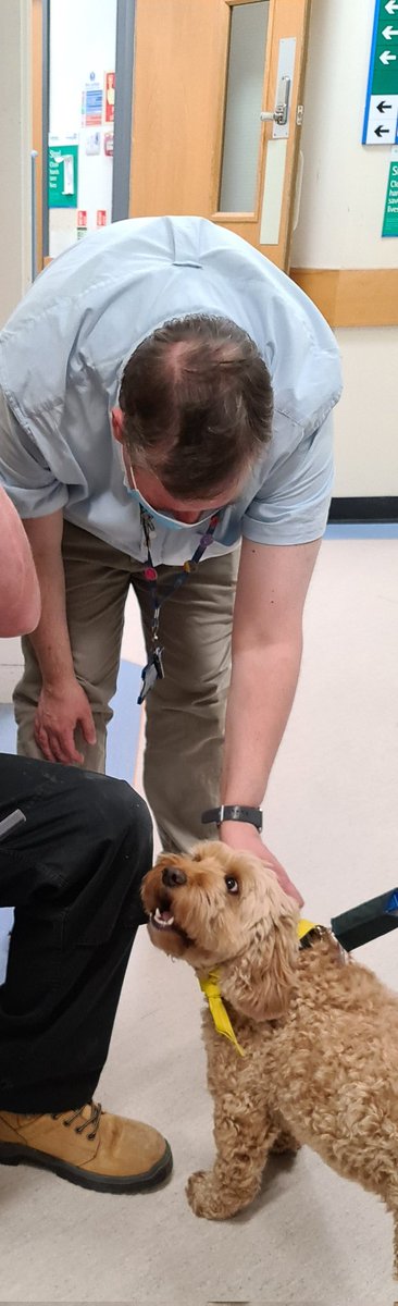 Alison Lovett-Turner 💙 (@alison_l_t) on Twitter photo So wonderful to welcome <a href="/PetsAsTherapyUK/">Pets As Therapy</a> dog Aggie with her owner Viv today to oncology outpatients <a href="/Oncology_PD/">Oncology Practice Development Team</a> <a href="/JulieMc49796244/">Julie McNally</a> <a href="/cullerne873/">Tracey 💙</a> 🥰🥰🥰🥰 So wonderful to welcome <a href="/PetsAsTherapyUK/">Pets As Therapy</a> dog Aggie with her owner Viv today to oncology outpatients <a href="/Oncology_PD/">Oncology Practice Development Team</a> <a href="/JulieMc49796244/">Julie McNally</a> <a href="/cullerne873/">Tracey 💙</a> 🥰🥰🥰🥰
