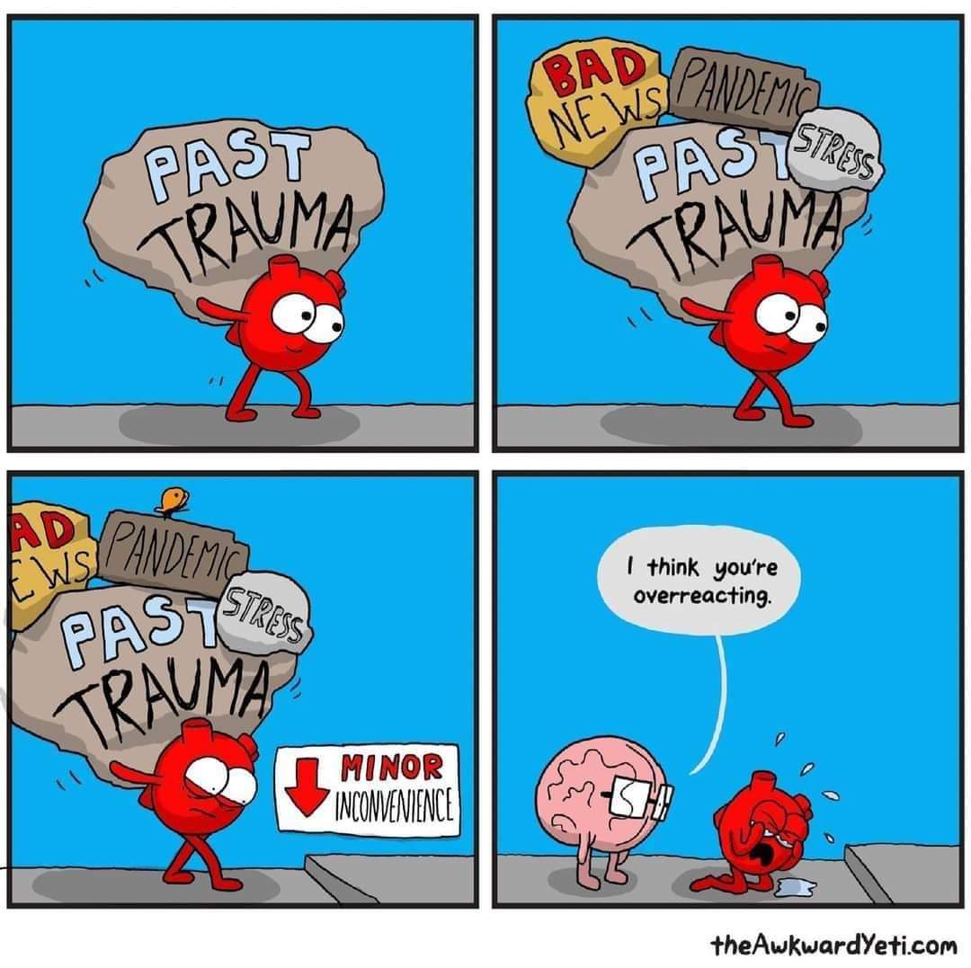 WeinsteinEdu's tweet photo. Always seek to understand behaviors. You never know what students are carrying with them. 
📷 @theawkwardyeti https://t.co/nrUahAKHYH
