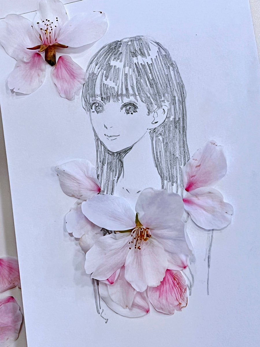 「桜とコラボしました
https://t.co/0SbTEdatkc 」|岸田メルのイラスト