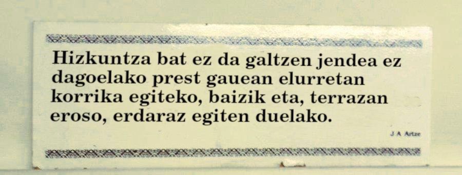 Naiara Abaroa tweet media