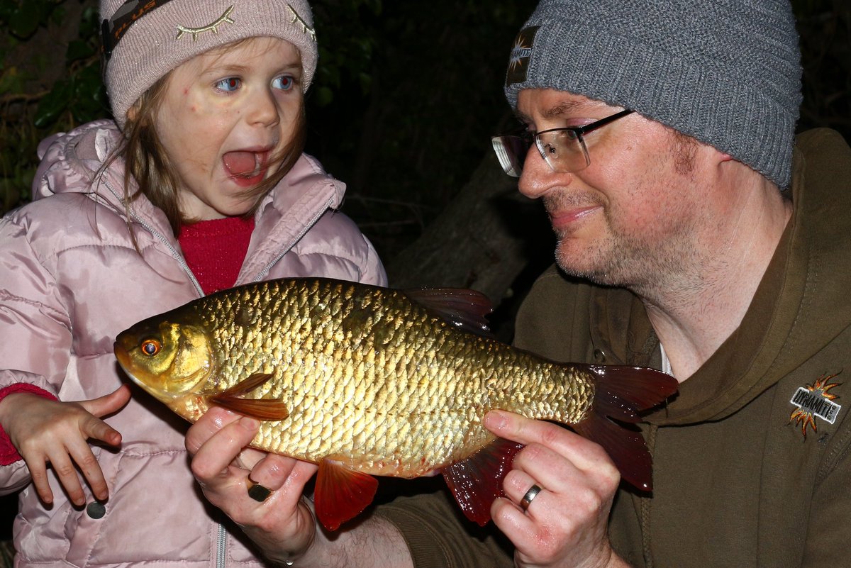Kevin Sanders (@kevscatches) on Twitter photo My daughter asked to go fishing & I knew it would only be a few hours at best. She had fun and I had this lovely 2lb 5oz Rudd caught using <a href="/DynamiteBaits/">DynamiteBaits</a> Swim Stim F1 and silver x carp groundbait 12mm Pineapple & Banana pop up #angling #fishing #dynamitebaits #rudd #kevscatches My daughter asked to go fishing & I knew it would only be a few hours at best. She had fun and I had this lovely 2lb 5oz Rudd caught using <a href="/DynamiteBaits/">DynamiteBaits</a> Swim Stim F1 and silver x carp groundbait 12mm Pineapple & Banana pop up #angling #fishing #dynamitebaits #rudd #kevscatches