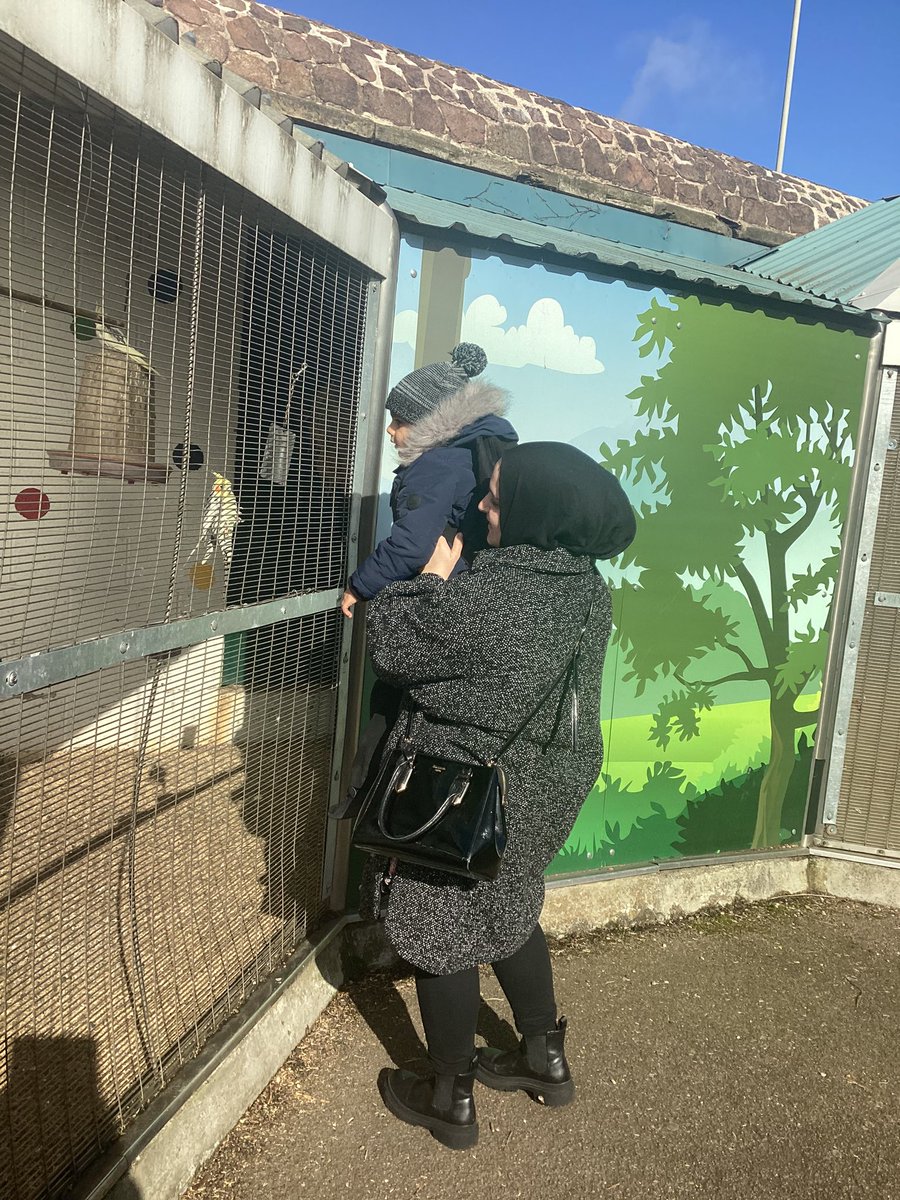 MissModi21's tweet photo. Nursery AM have had an eventful morning at Abbey Park Pets Corner. They had fun looking at the different animals and talked about what they could see. @AbbeyMead_TMET #animals #pets #park https://t.co/91fMzBuBlU