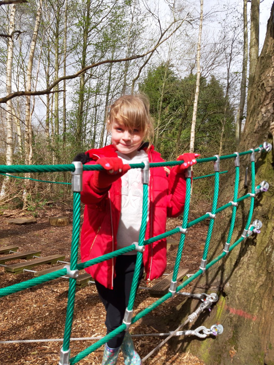 Stmattsprimary's tweet photo. Low ropes action for Year 2 https://t.co/UfWtYGBGND