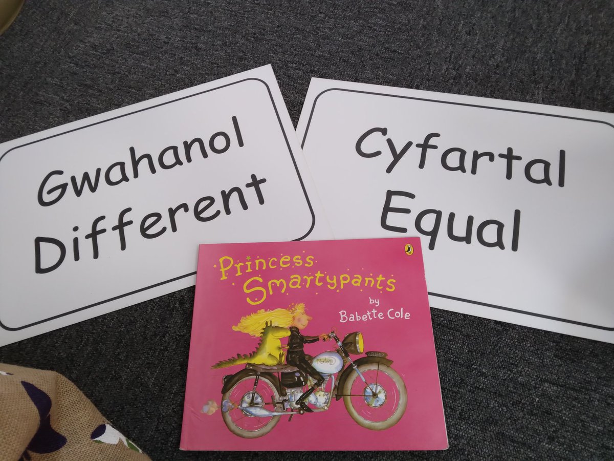 spectrumcymru's tweet image. Lovely session with Yr 2 @Ysgolnantgwyn recognising that girls and boys are different but equal. Da iawn pawb! #differentbutequal #VJ