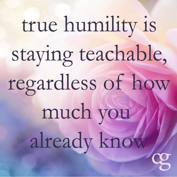MrsJay_SAV's tweet photo. There is always something new that we can learn from someone else. Older doesn't always mean wiser. Younger doesn't always mean inexperienced. Sometimes it's best to lead a conversation with an open mind, instead of an open mouth.
#carpediem #openmindopenheart #stayhumble https://t.co/tAEwCpQreR