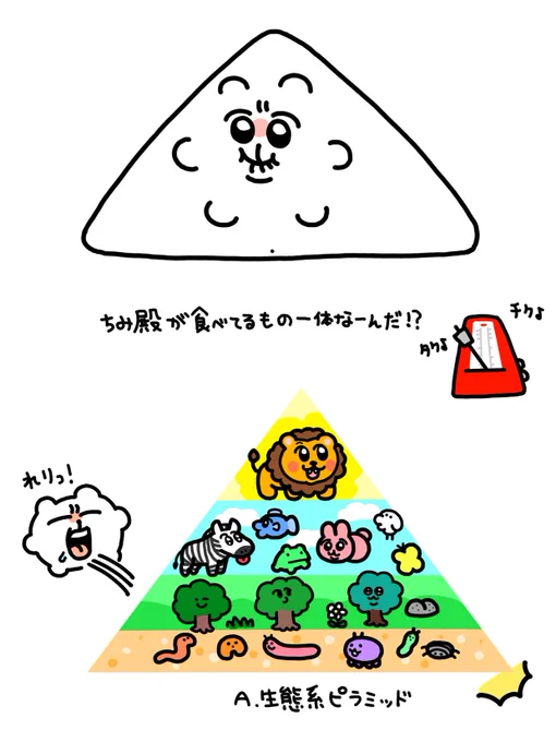 クイズキタ━━━━(゜∀゜)━━━━!! 